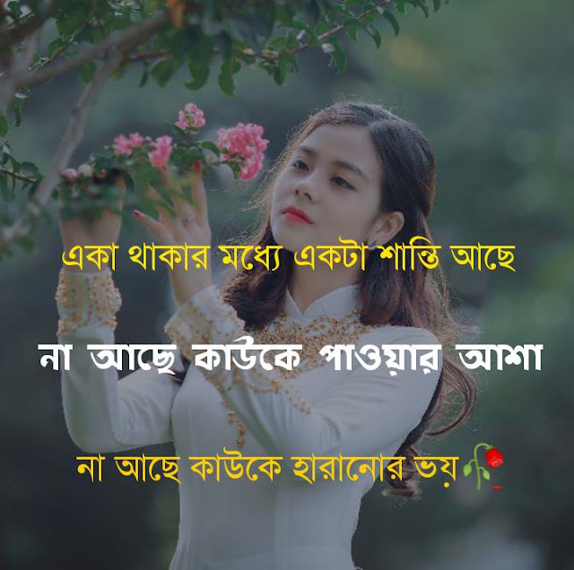 একাকিত্ব নিয়ে ক্যাপশন একাকিত্ব নিয়ে ক্যাপশন