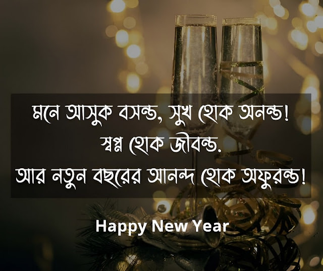 হেপি নিউ ইয়ার পিকচার