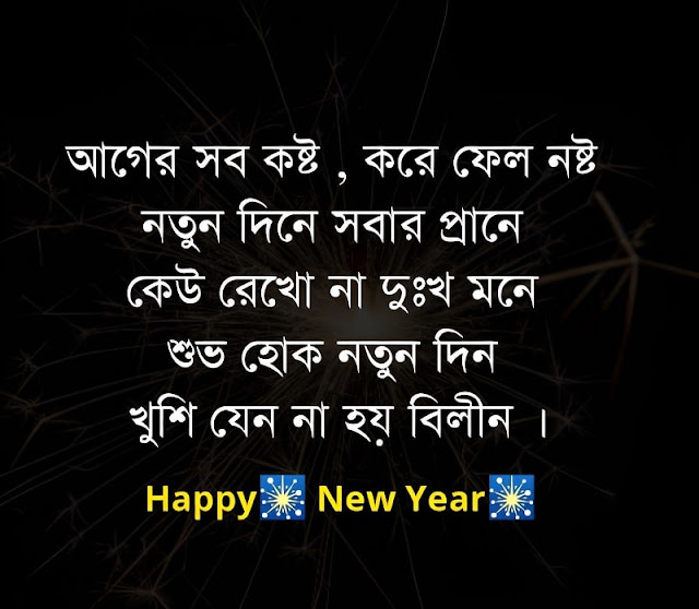 হ্যাপি নিউ ইয়ার ছবি
