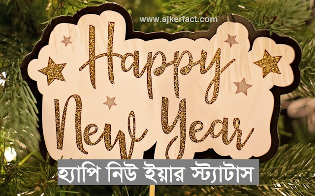 হ্যাপি নিউ ইয়ার স্ট্যাটাস, মেসেজ ও ছন্দ 2024
