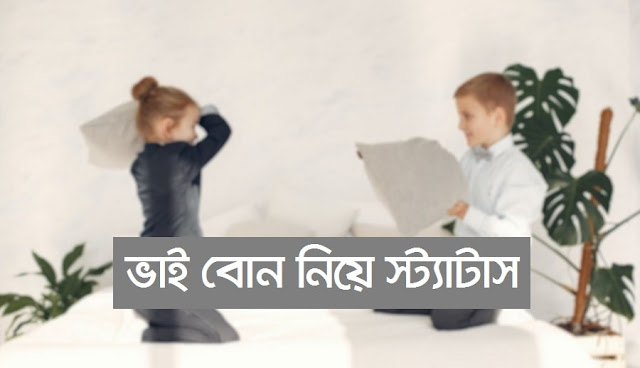 ভাই বোনের স্ট্যাটাস, ক্যাপশন, উক্তি । ভাই বোন ছন্দ ও কবিতা