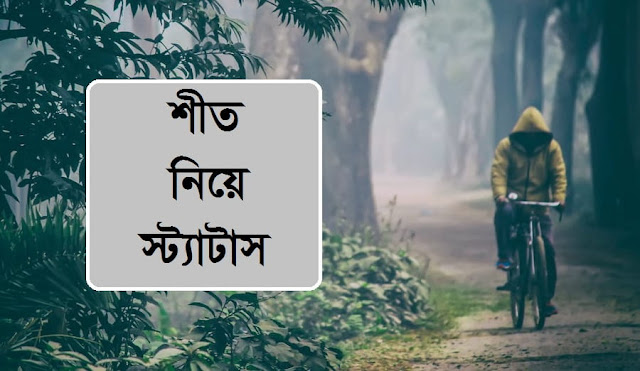 শীত নিয়ে স্ট্যাটাস, ক্যাপশন, মেসেজ । শীতের কবিতা ও ছন্দ